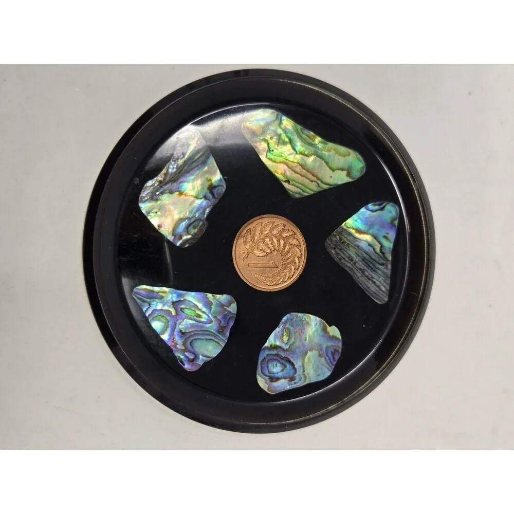 VINTAGE DRINK COASTER SET OF 6 NEW ZEALAND PAUA SHELL & COINS MONEY COLLECTIBLE
